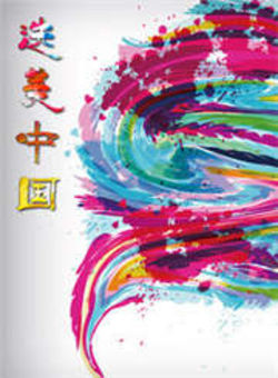 选美中国2011海报