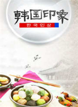 韩国印象2011海报