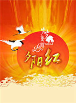 夕阳红2012海报
