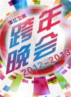 浙江卫视跨年晚会2013海报