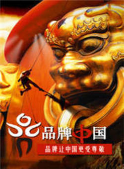 品牌中国2012海报