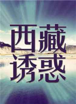 西藏诱惑2014海报