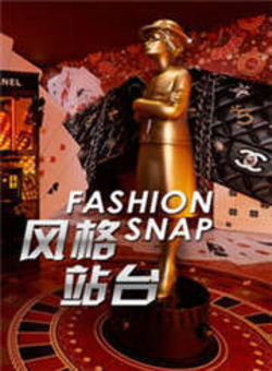 风格站台Fashionsnap2013海报