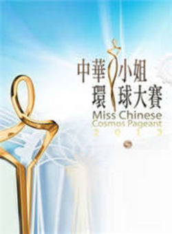 中华小姐环球大赛2013海报