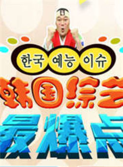 韩国综艺最爆点2013海报