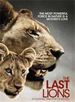 最后的狮子海报