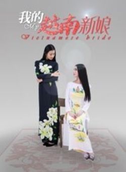 我的越南新娘海报