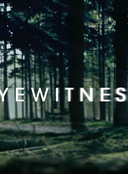 目击者/目击证人第一季海报