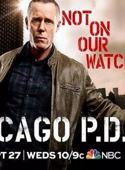 芝加哥警署第五季海报