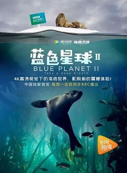 蓝色星球第二季海报