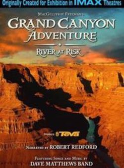 大峡谷探险之河流告急海报
