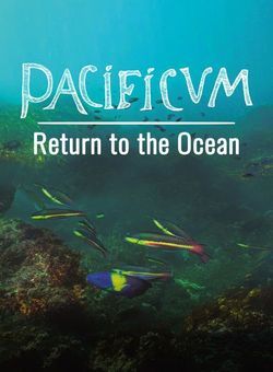 太平洋:回到大海海报