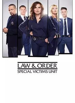 法律与秩序：特殊受害者第二十季海报