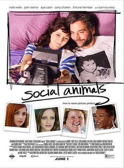 社交动物海报