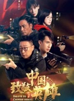 致敬中国英雄第一季海报