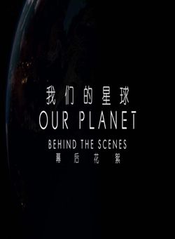 我们的星球：镜头背后海报