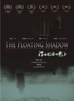 浮出水面的影子海报