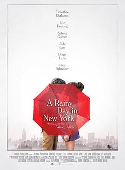 纽约的一个雨天海报