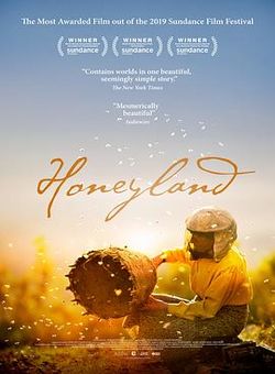 蜂蜜之地海报