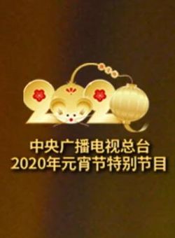 2020央视元宵节特别节目海报