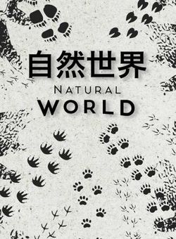 自然世界2020海报