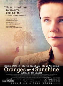 橙子和阳光海报