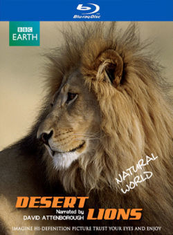 行星地球特别版：沙漠狮海报