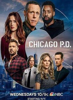 芝加哥警署第八季海报