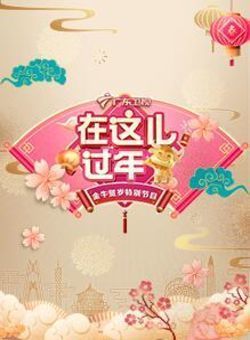 2021年广东卫视春节联欢晚会海报