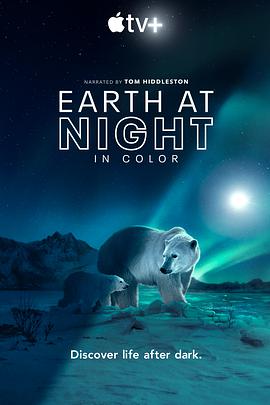 夜色中的地球第二季海报