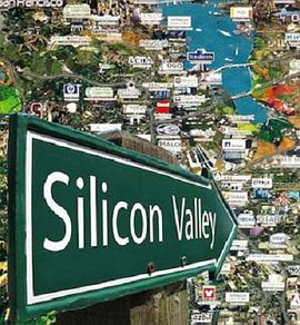 硅谷的秘密海报