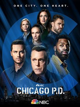 芝加哥警署第九季海报