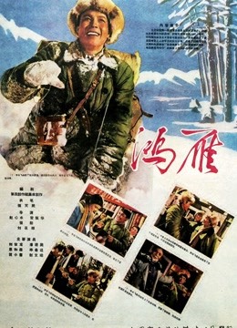 鸿雁[1960]海报