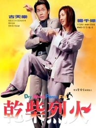 干柴烈火2002海报