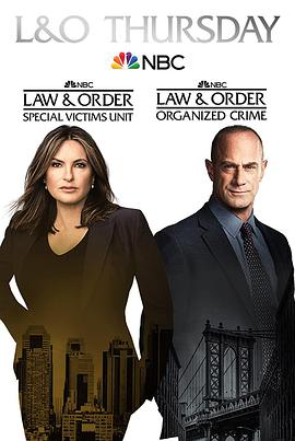法律与秩序：特殊受害者第二十三季海报