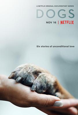 爱犬情深第二季海报