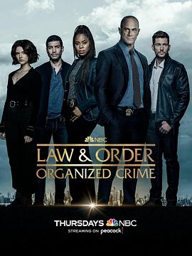法律与秩序：组织犯罪第三季海报