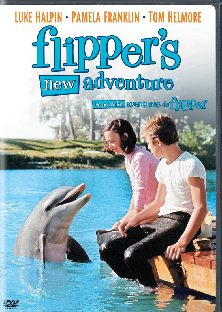 海豚新历险记海报
