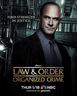 法律与秩序：组织犯罪第四季海报