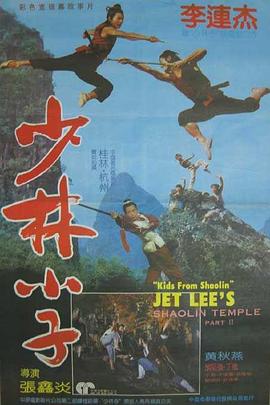 少林小子国语海报