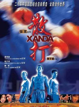 散打粤语海报
