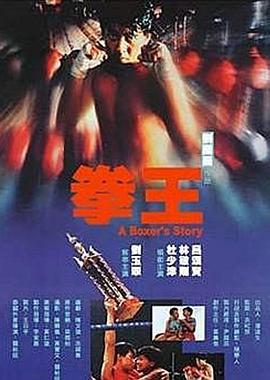拳王1991国语海报