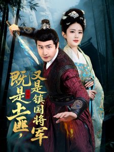 既是土匪,又是镇国将军海报